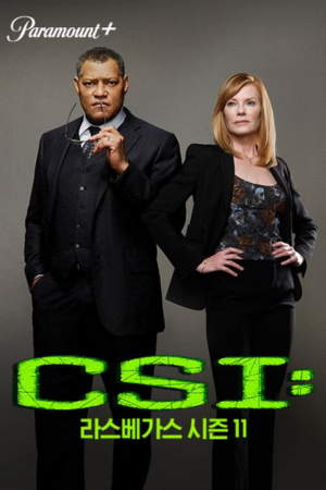 CSI 라스베가스 시즌11
