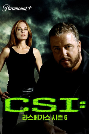 CSI 라스베가스 시즌6