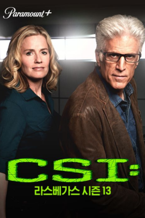 CSI 라스베가스 시즌13